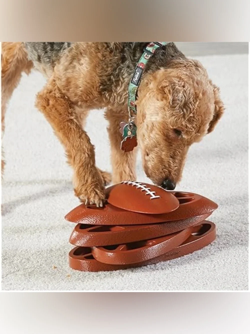 New in box - Brightkins Touchdown Time Treats Puzzle for dogs
